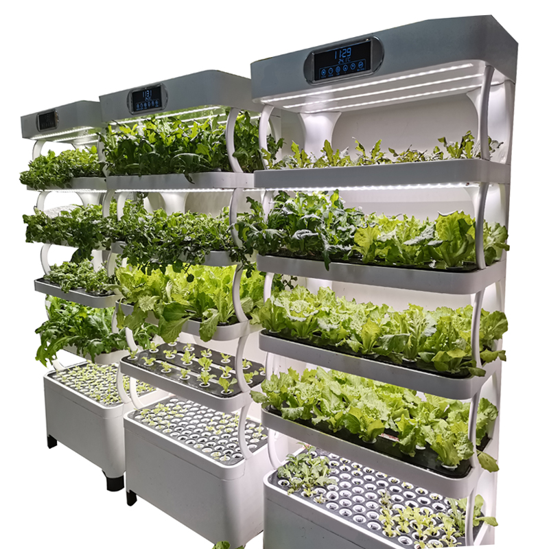 Intelligentes, kostengünstiges – Smart Garden System Bewertung und Preis