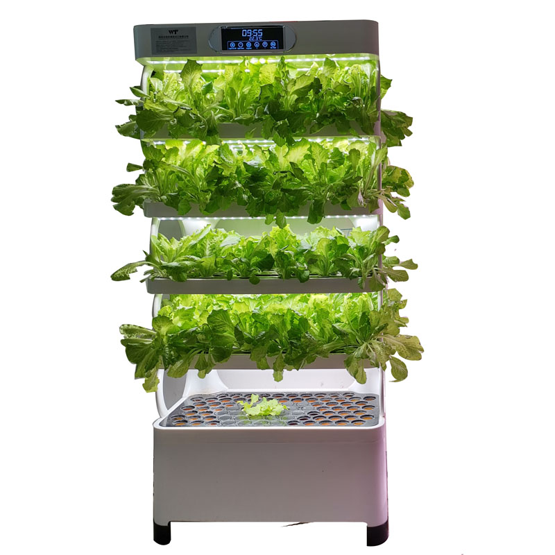 Intelligentes, kostengünstiges – Smart Garden System Bewertung und Preis