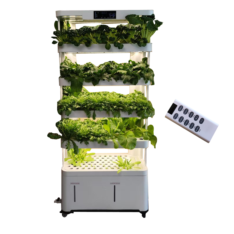 Intelligentes, kostengünstiges – Smart Garden System Bewertung und Preis