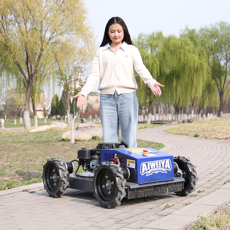 Maßgeschneiderter automatische – Smart Garden Gadgets Bewertung und Preis
